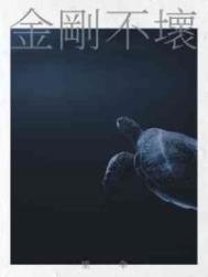 金刚不坏大寨主百度百科