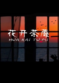 海口贴膜哪里好