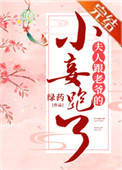夫人跟老爷的小妾跑了晋江文学